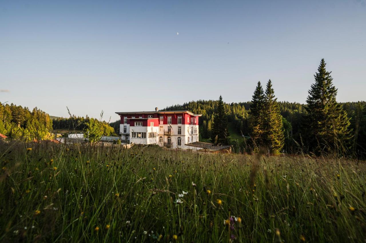 Das Waldhotel - Genuss & Wellness Am Notschreipass Todtnau Extérieur photo