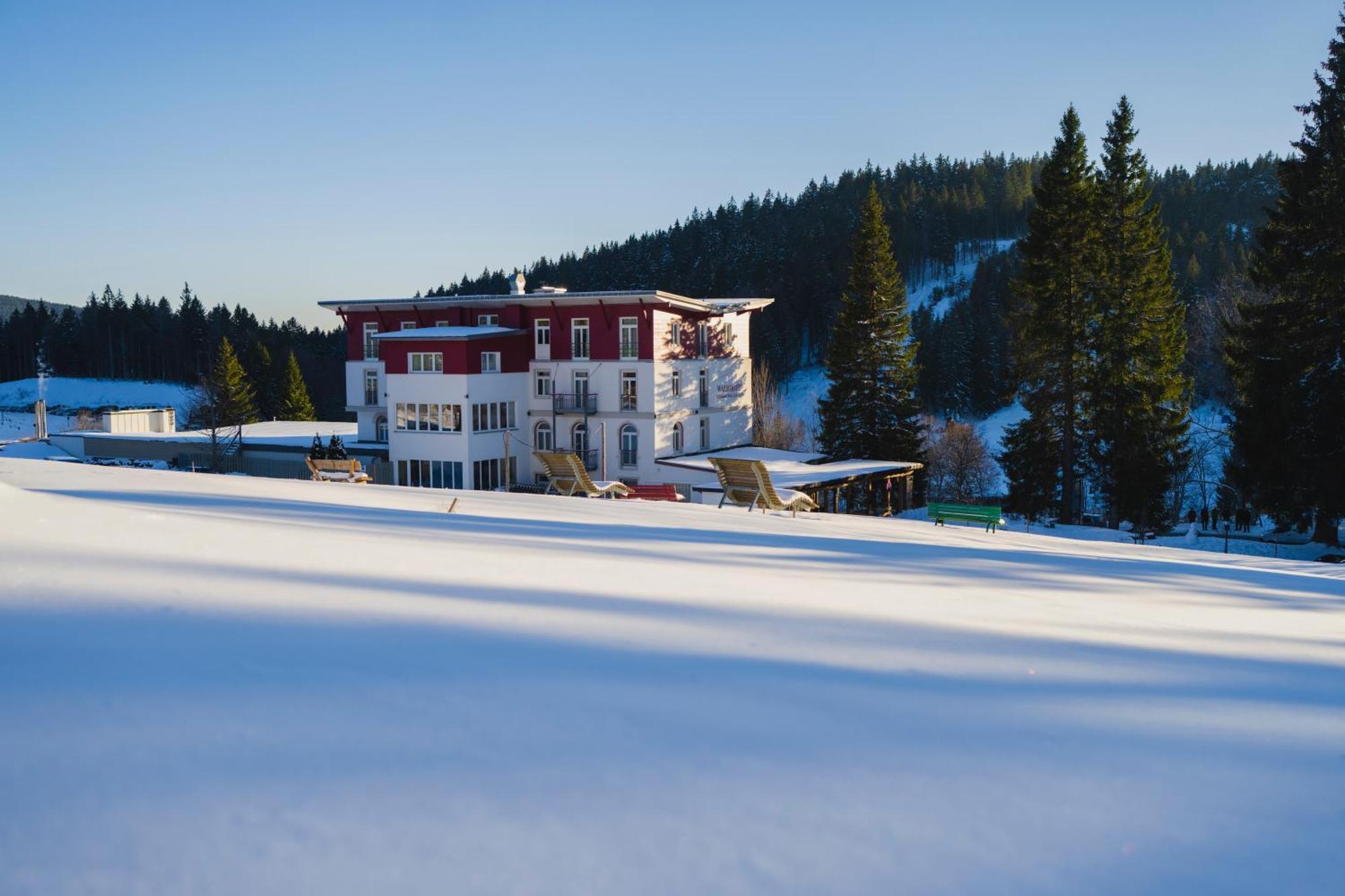 Das Waldhotel - Genuss & Wellness Am Notschreipass Todtnau Extérieur photo